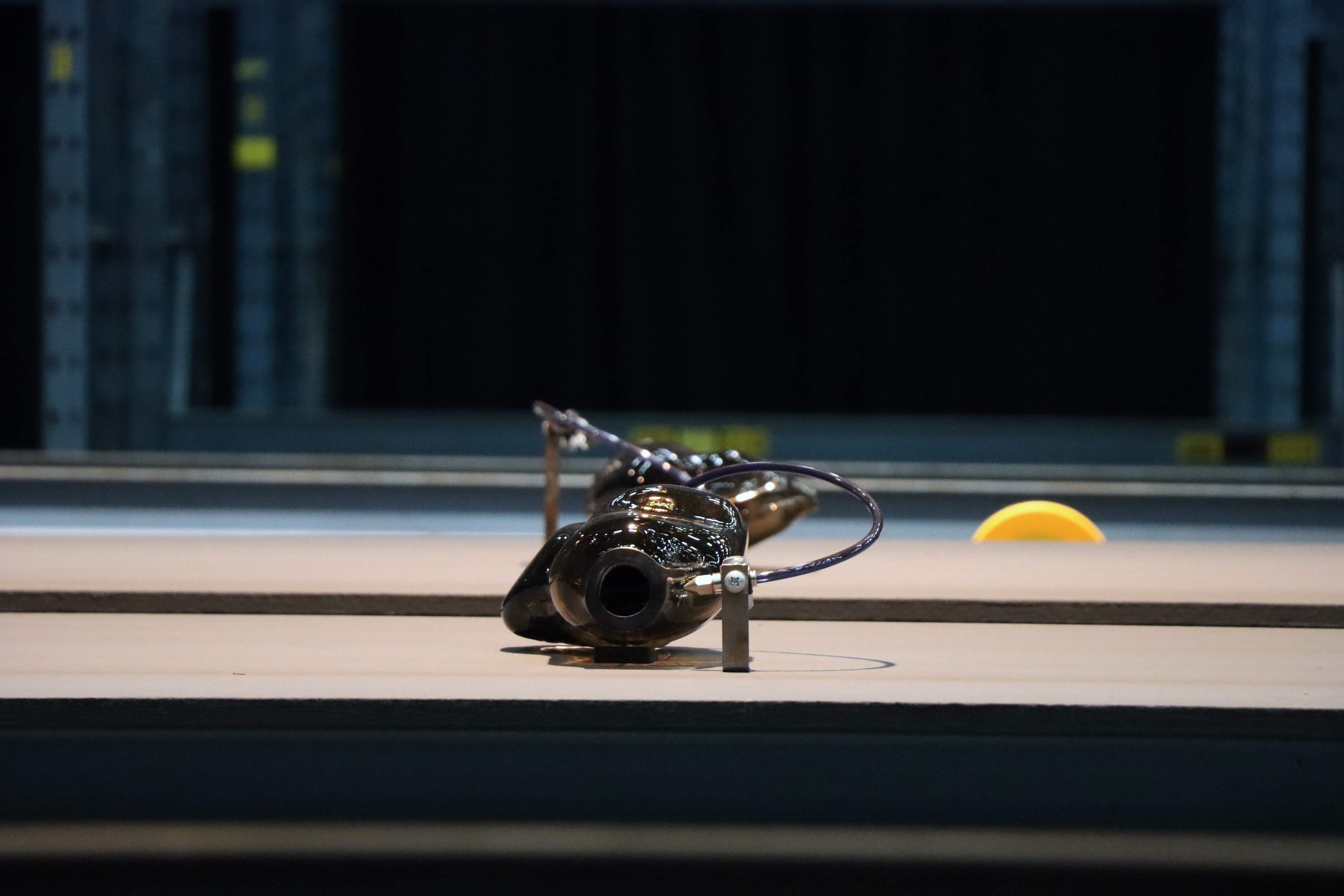 aaromurphy, aaromurphy.com, Aaro Murphy