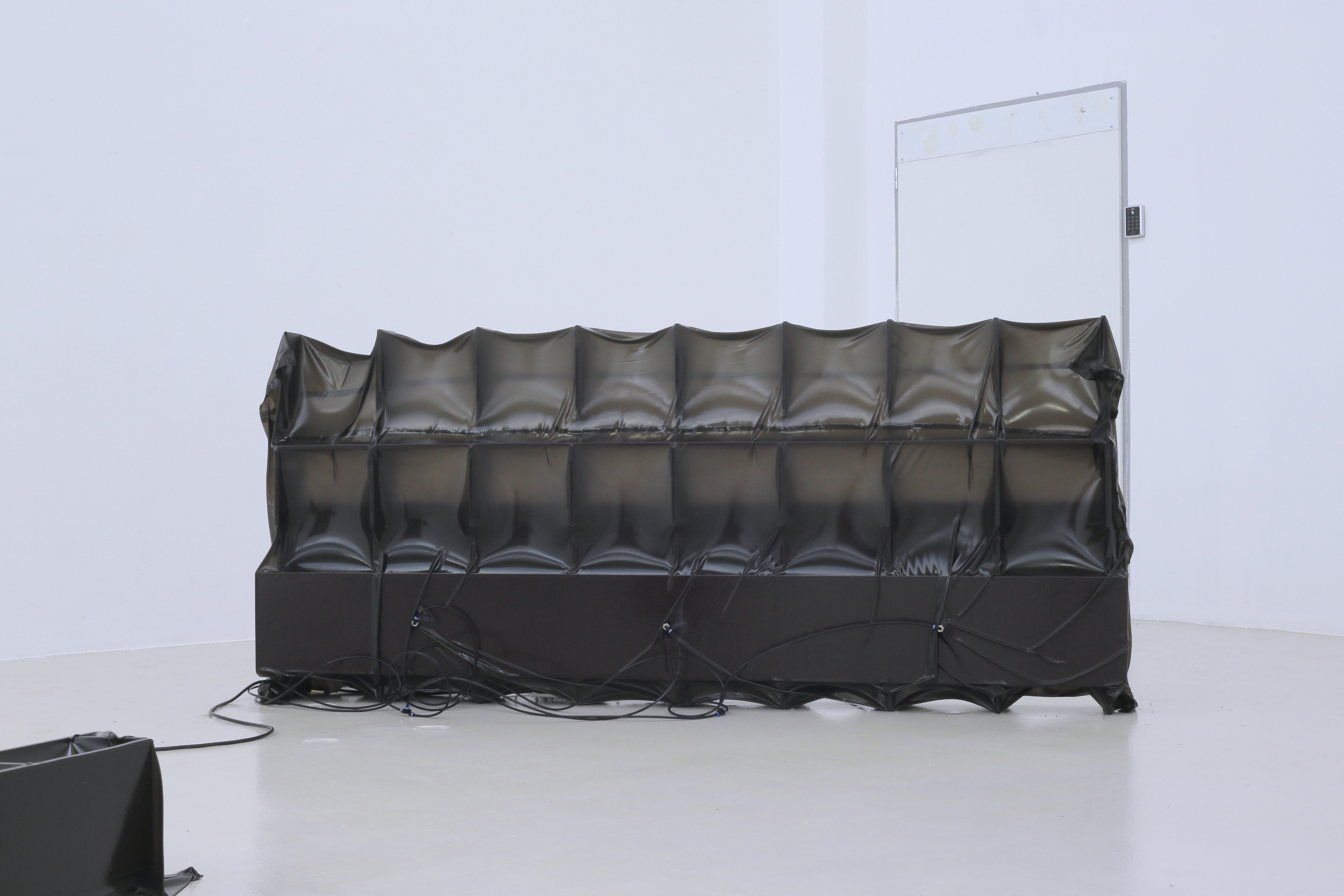 aaromurphy, aaromurphy.com, Aaro Murphy