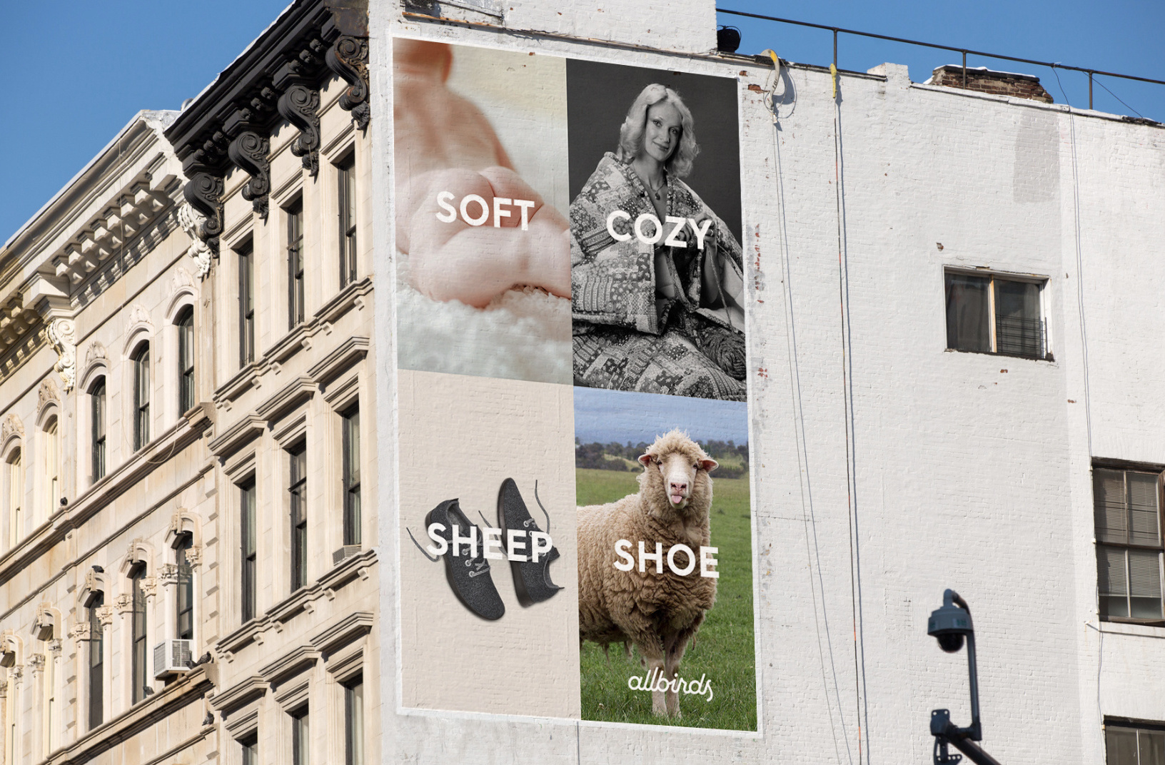 allbirds advertising