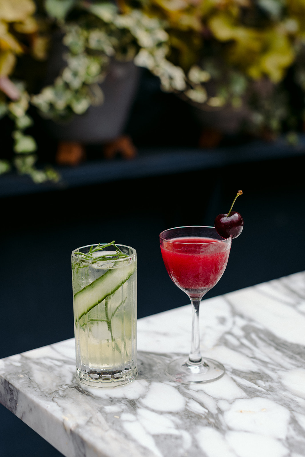 The Rose — Hotel, Bar and Restaurant