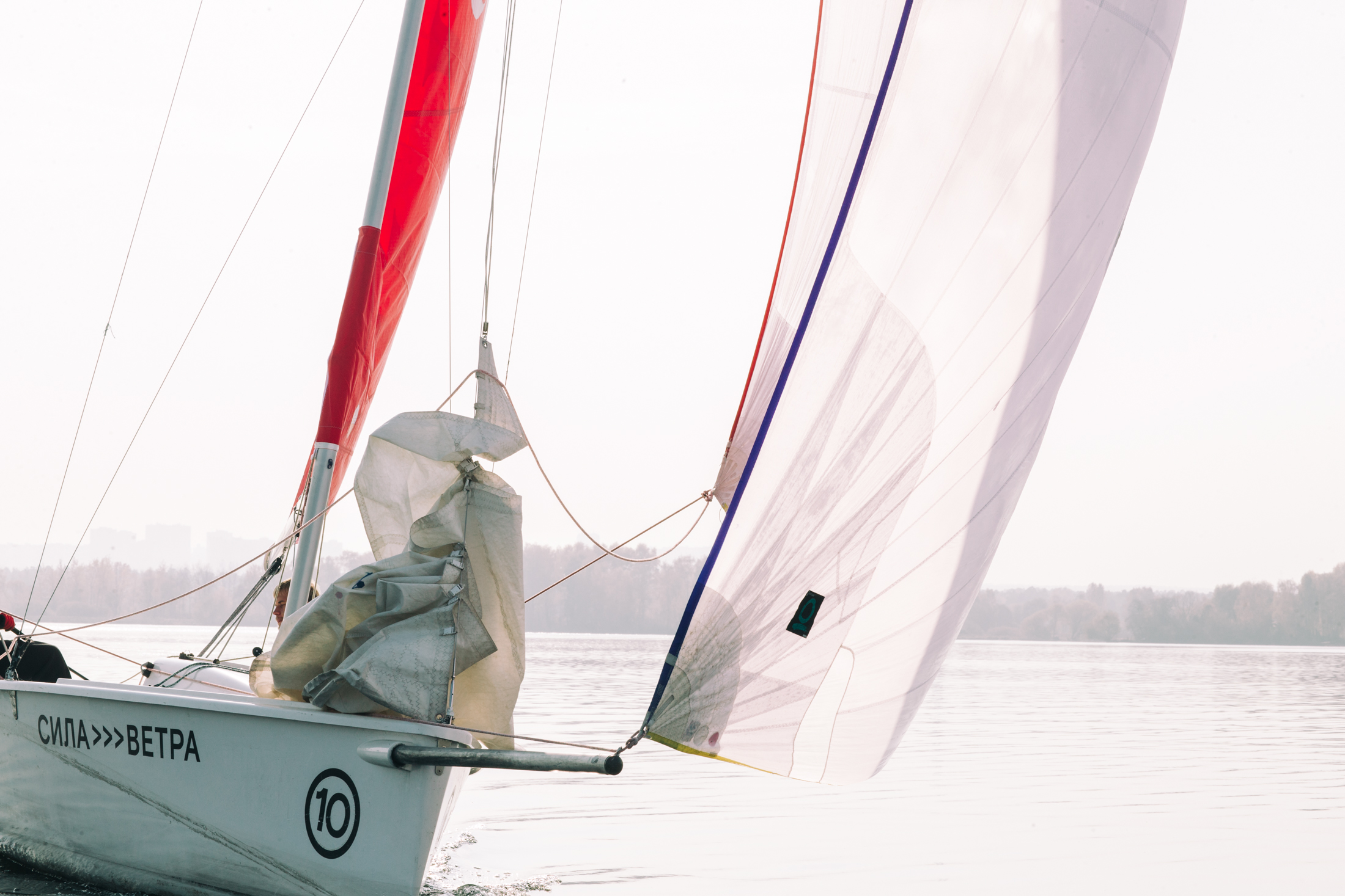 IN THE BLOG — Scarlet Sails