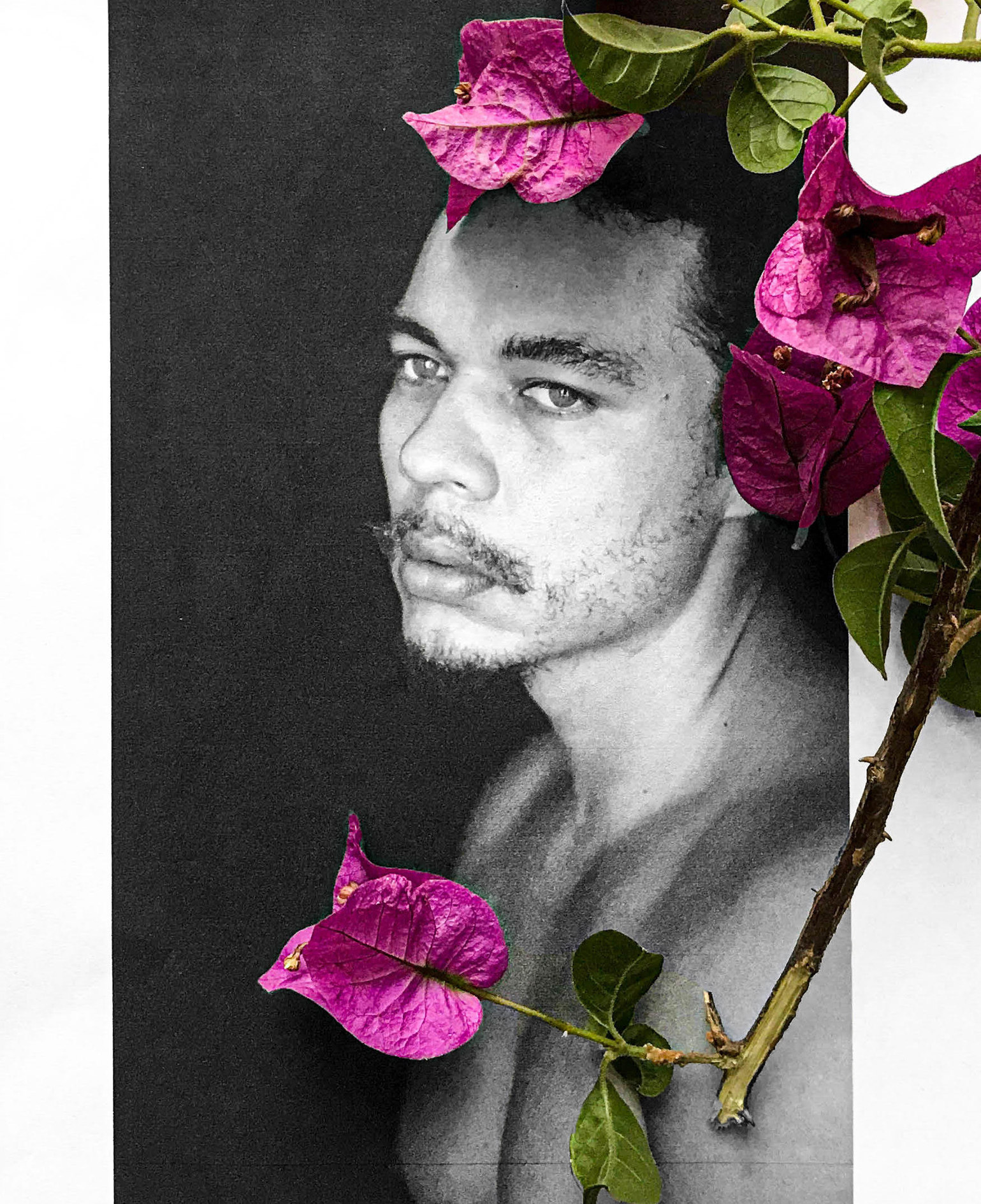 On: Self — Ismael Cruz Cordova