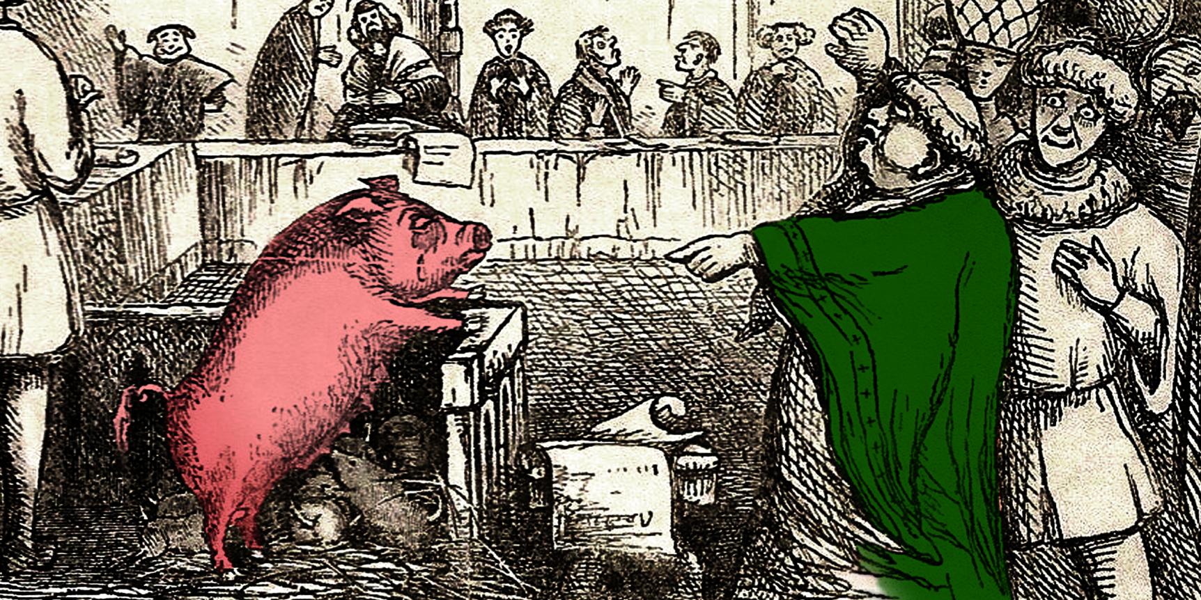 Франция свинья. Средневековье суд над свиньей. Средние века суд над животным. Суд над животными в средневековье. Суды над животными в средние века.