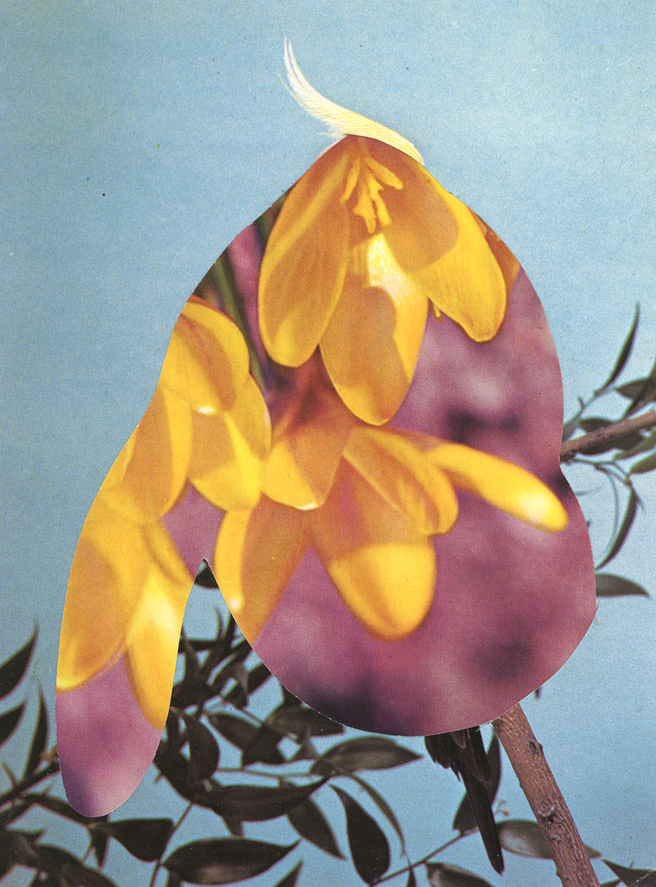 THE GARDEN OF DELIGHT — RUTH VAN BEEK THE GARDEN OF DELIGHT — RUTH VAN BEEK