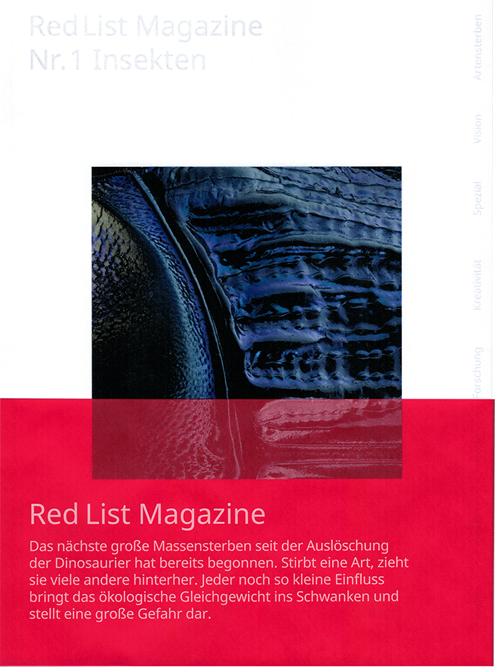  palabra clave  Gratis