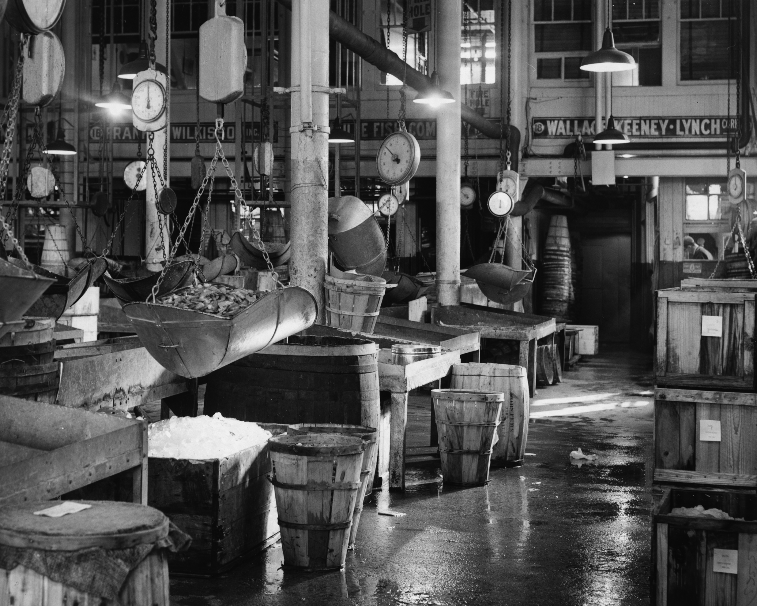 Mucca branding for Tin Building by — CUSTOM FONT