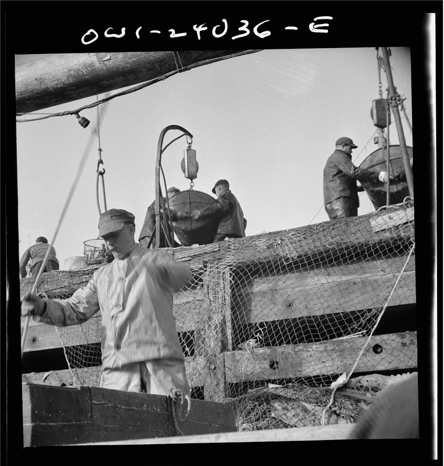 Mucca branding for Tin Building by — BRAND