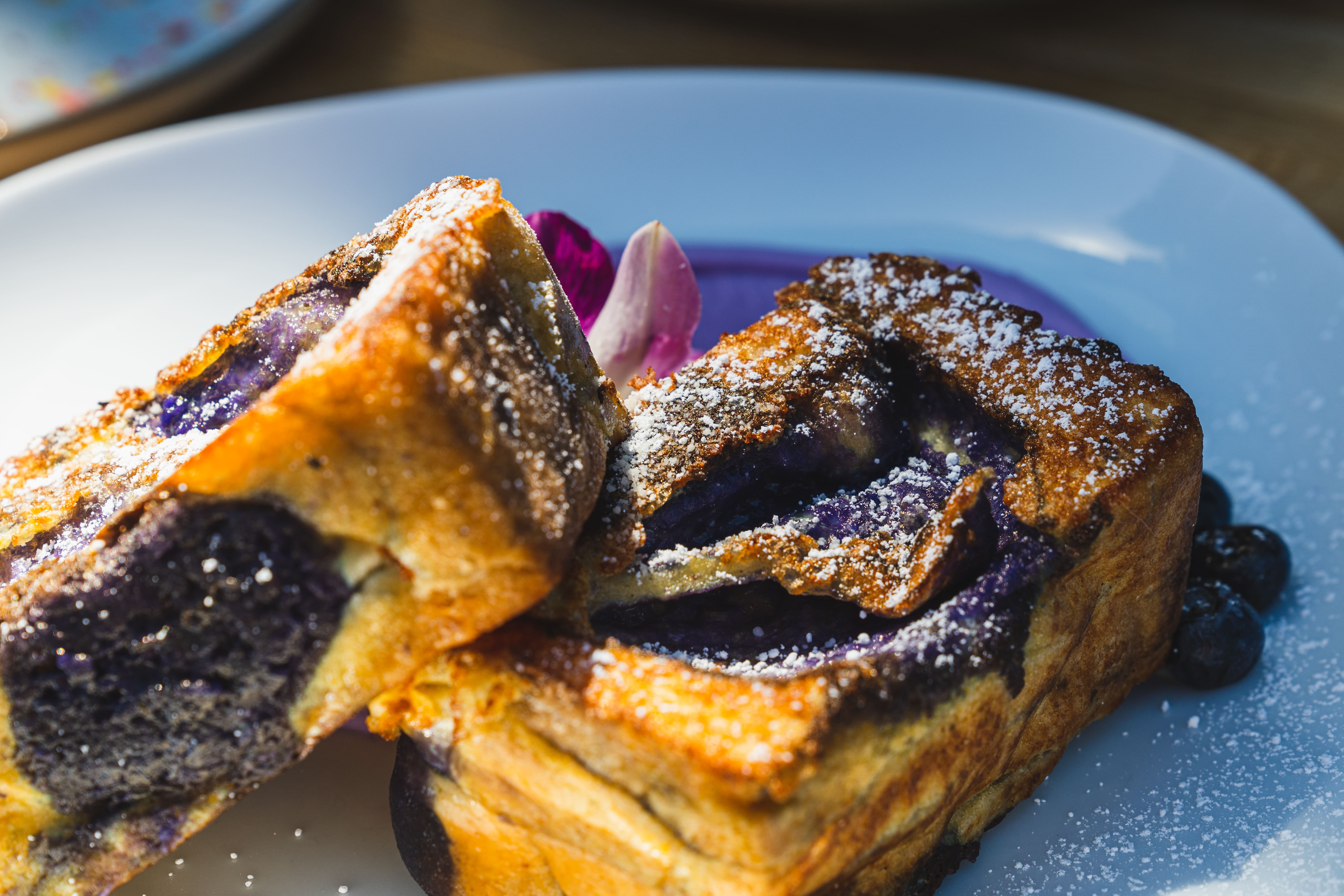 Alnico SF — Food Gallery