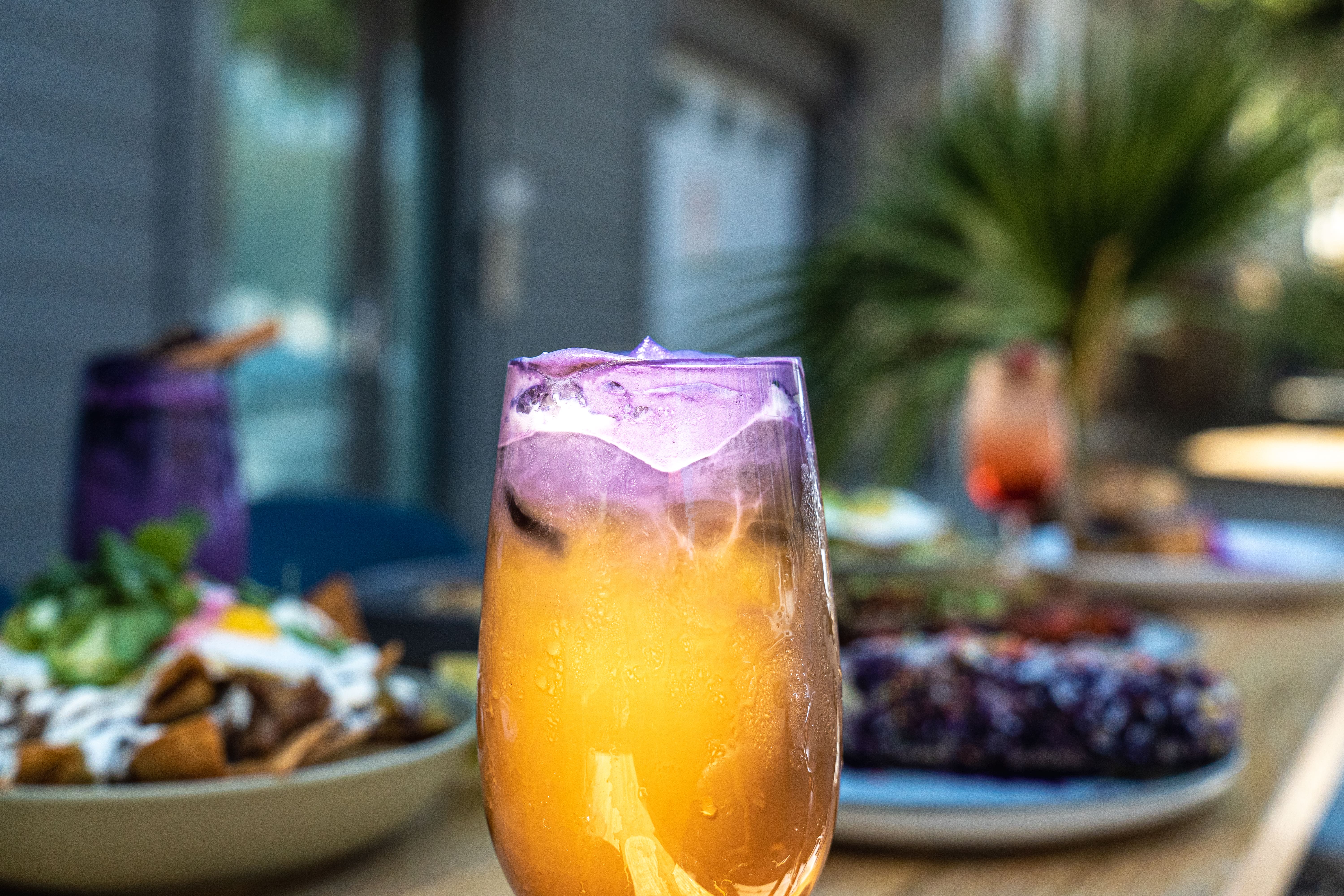 Alnico SF — Food Gallery