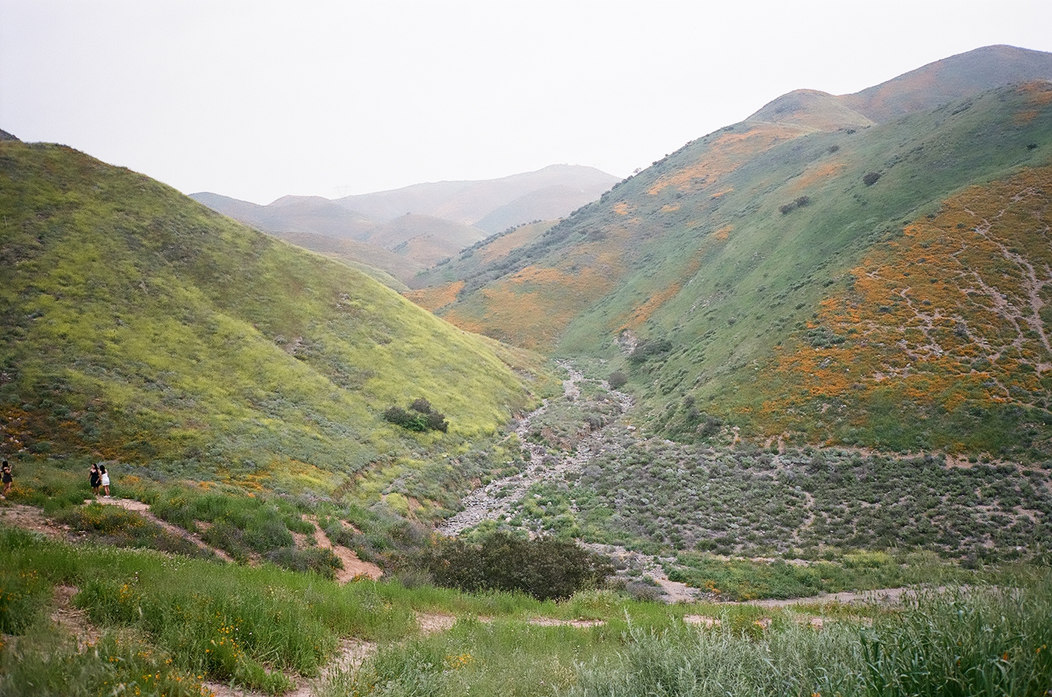 Nature Photography captured by Chris Gonzales, Los Angeles based Photographer. 
