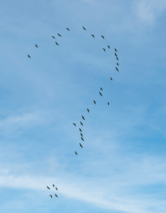 Livano Letters — 5