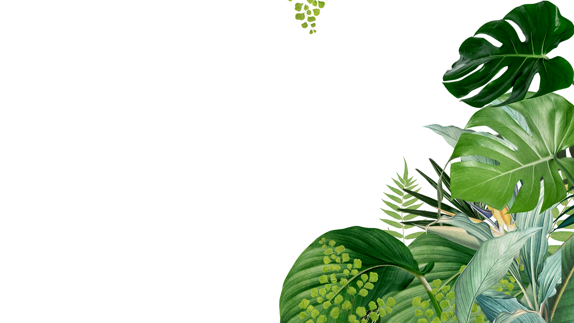 The Royal Courtyard Bistro & Bar