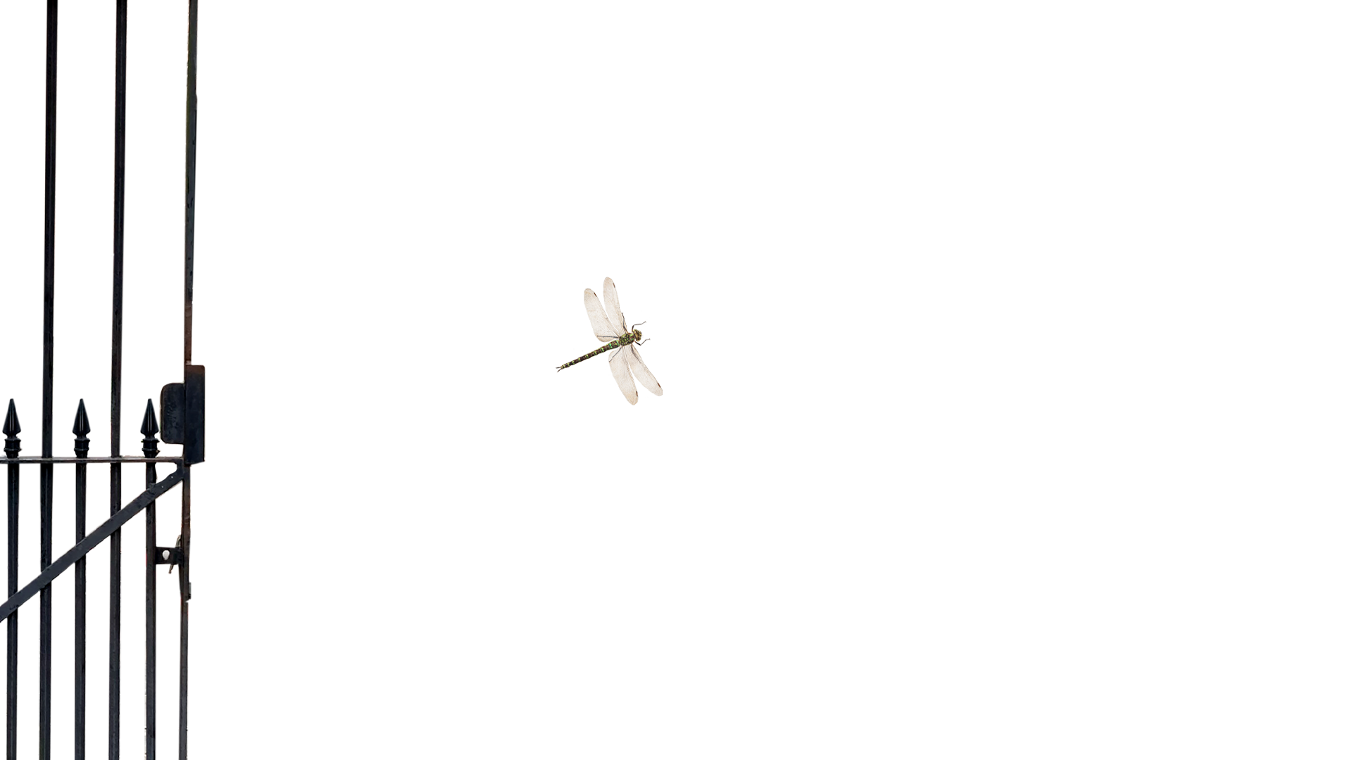 The Royal Courtyard Bistro & Bar