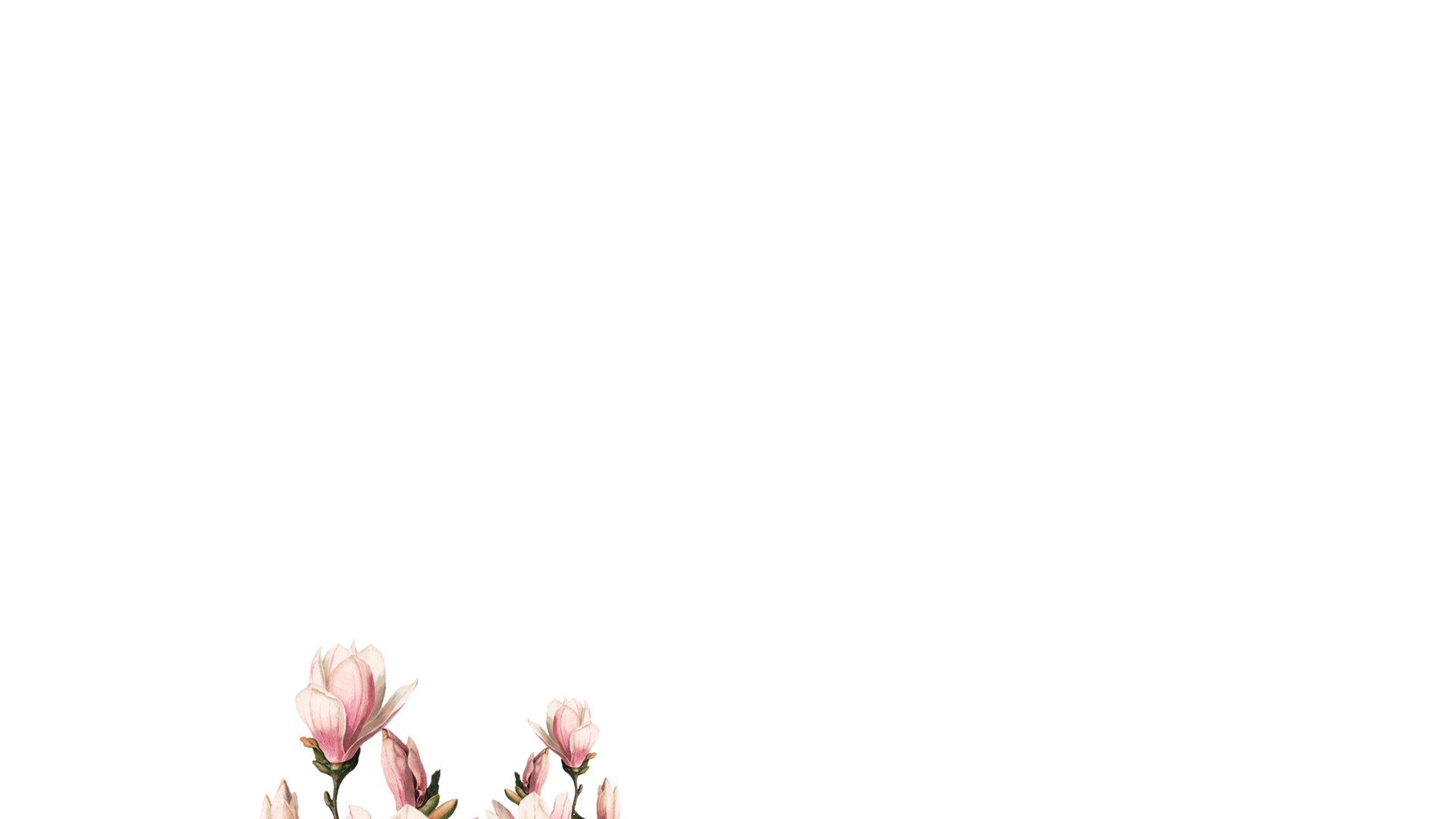 The Royal Courtyard Bistro & Bar