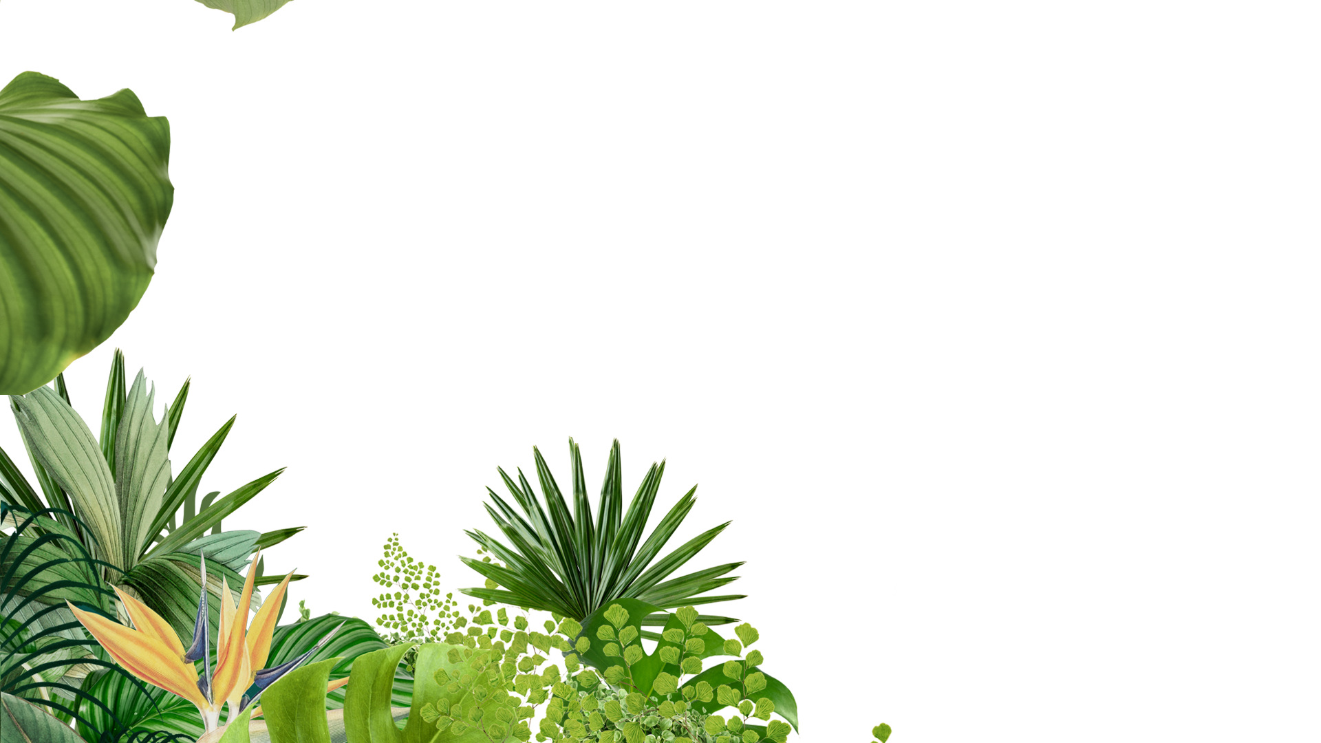 The Royal Courtyard Bistro & Bar